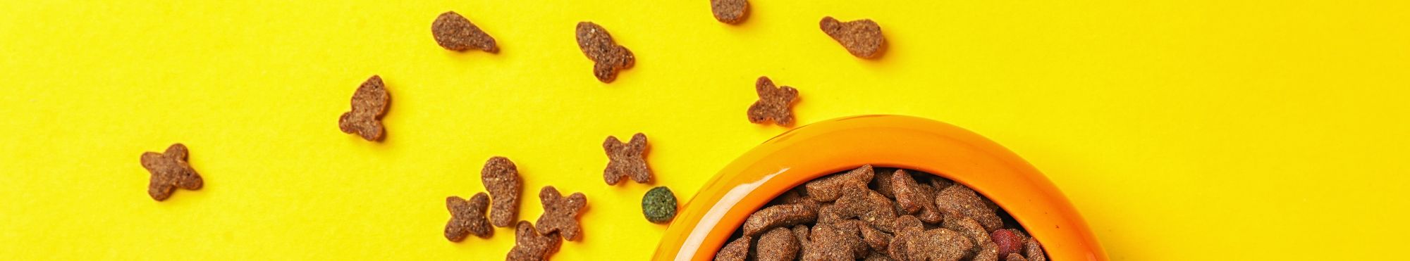 Alimentação para Gatos